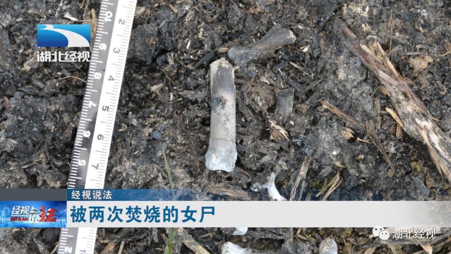 尸体被网状物缠住有什么痕迹「」 求购信息